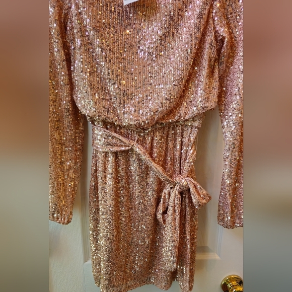 Crystal Sky Champagne Color Sequins Mini Dress - Size XS - Picture 2 of 8